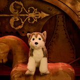 Arka Husky