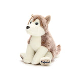 Arka Husky