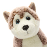 Arka Husky